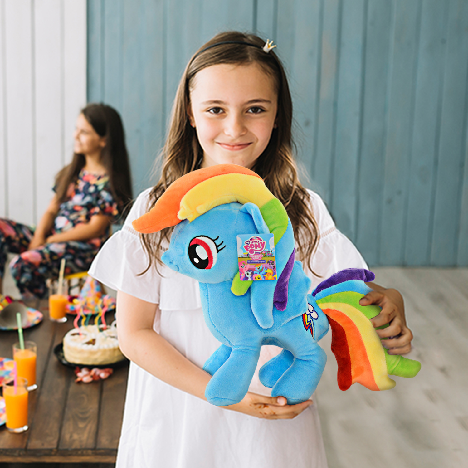 My Little Pony and Friends Rainbow Dash Soft Plush Huggable Doll - Nonika  Boutique